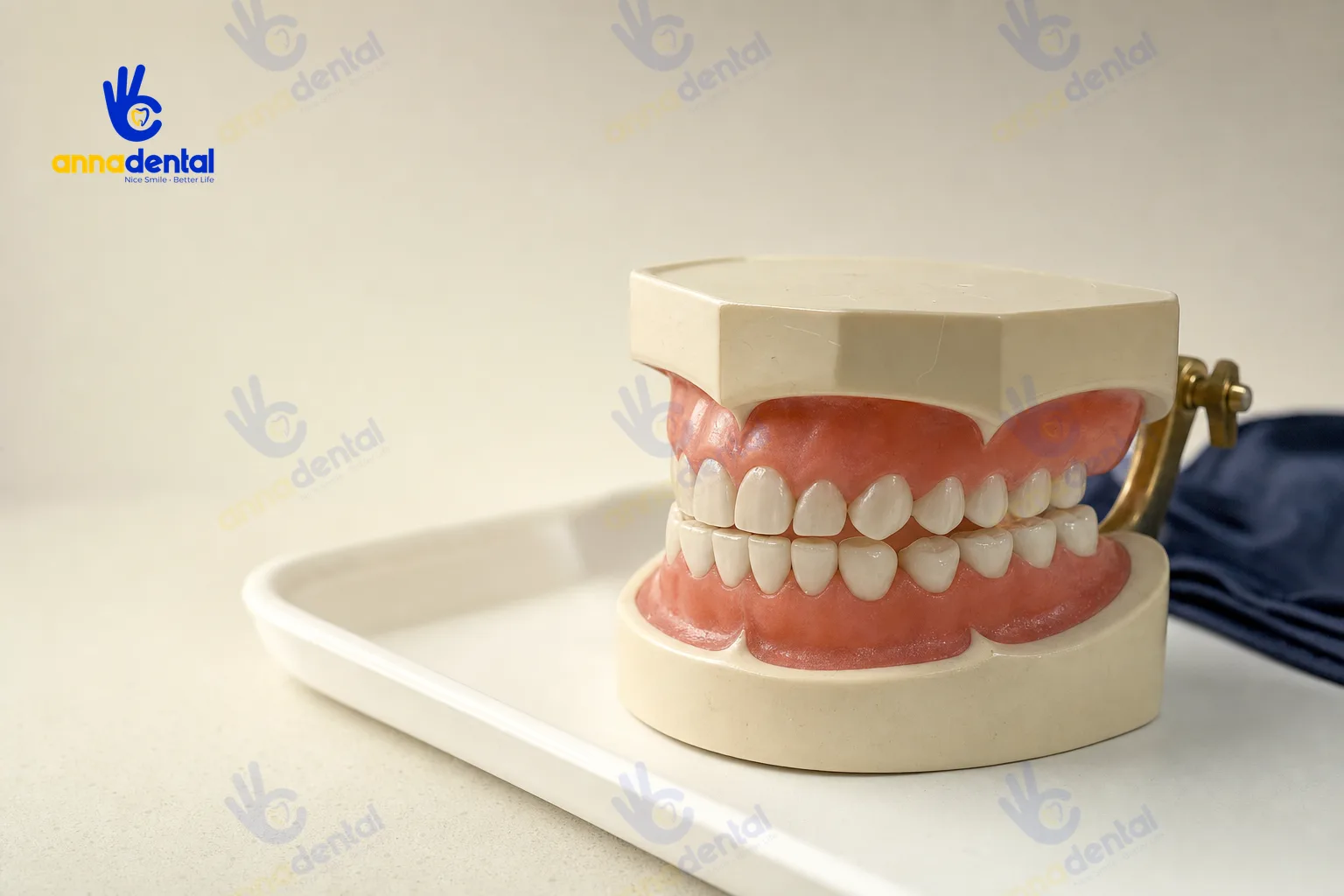 Mẫu hàm răng trẻ em mô phỏng mòn răng do nghiến