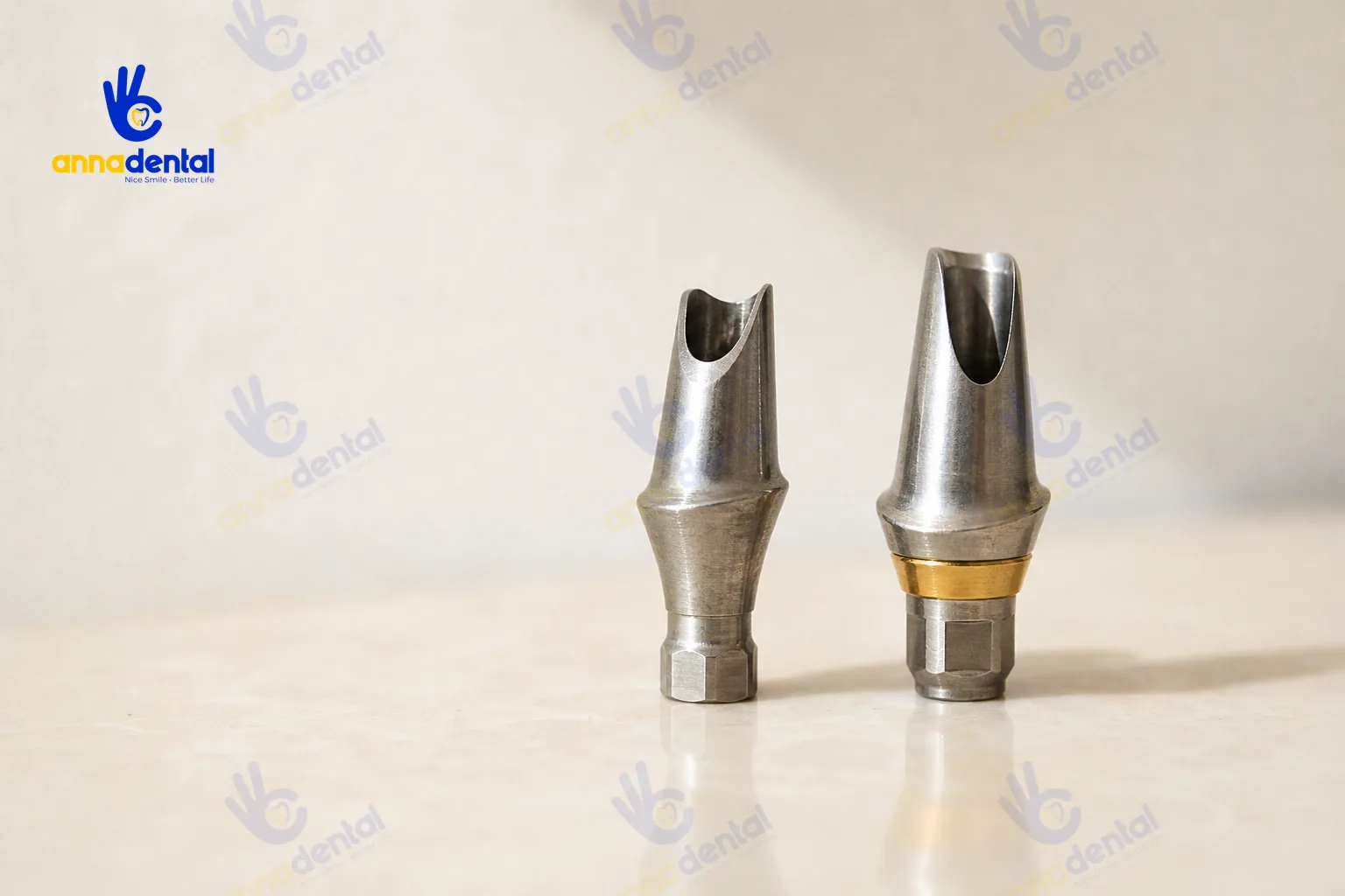 Cận cảnh hai mẫu trụ Implant thực tế Hàn Quốc và châu Âu trên nền trắng ngà