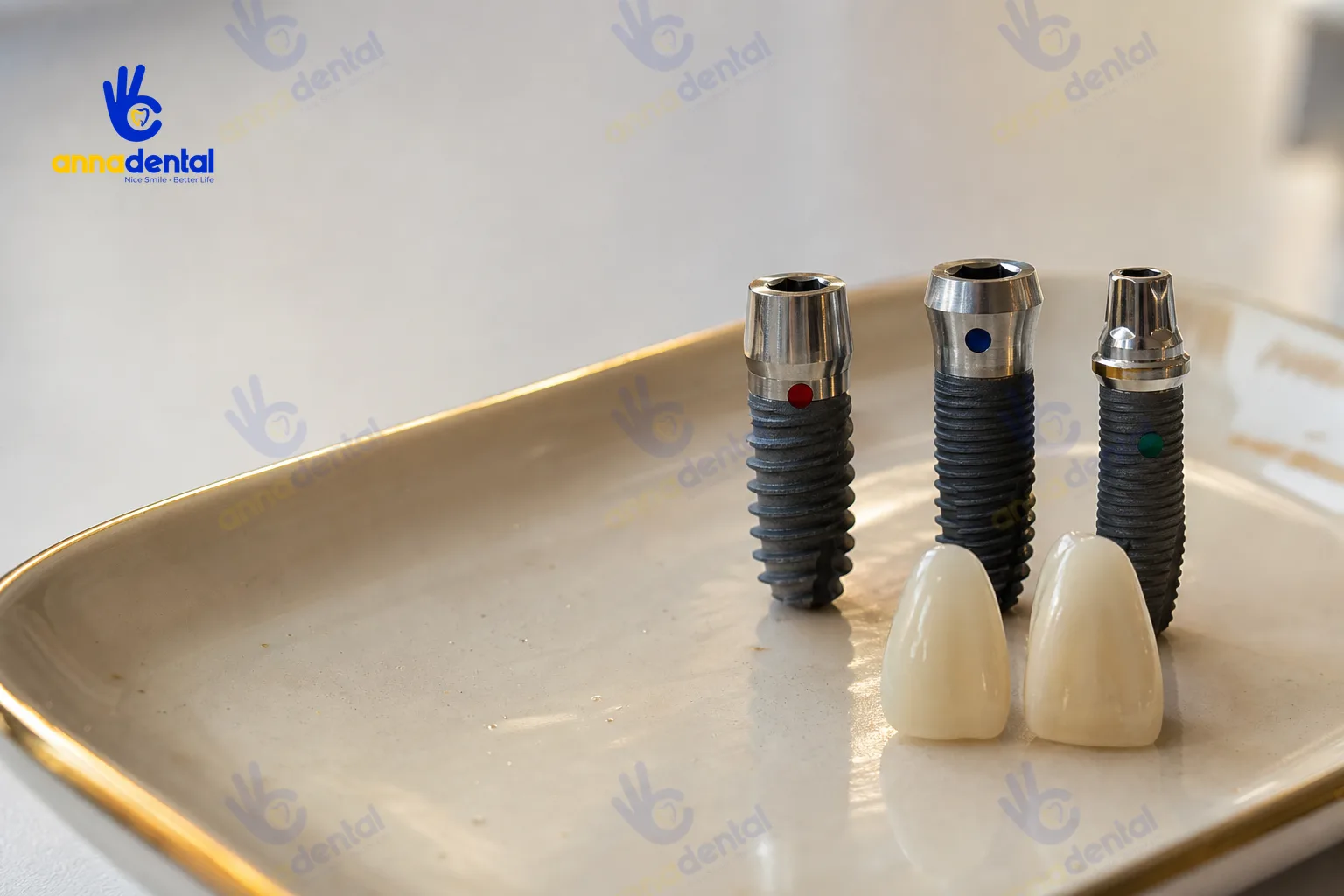 Ba loại trụ implant và hai mão sứ trên khay men không logo